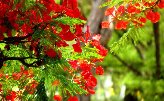 Thời tiết 3-6: Bắc bộ nắng nóng gay gắt trên diện rộng