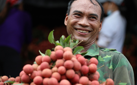 Vải thiều Lục Ngạn lần đầu tiên lên sàn thương mại điện tử