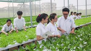 Đào tạo nguồn nhân lực cho nông nghiệp, nông thôn Việt Nam