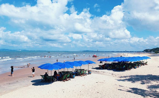 Mùa hè này, bạn có muốn đến Vũng Tàu?