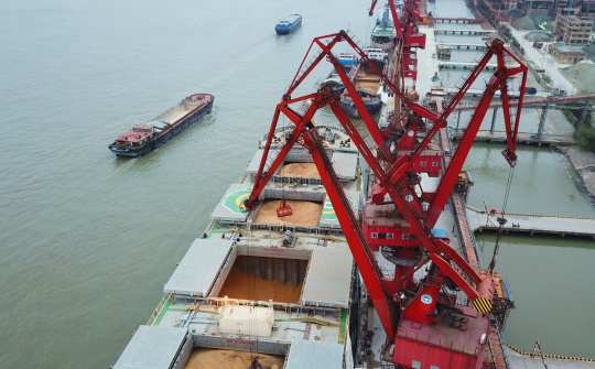 Giá đậu tương tiếp tục duy trì ở mức cao, Trung Quốc tăng cường mua vào cho dịp cuối năm