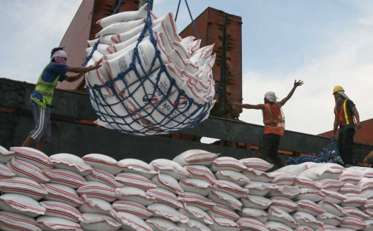 Giá gạo xuất khẩu Việt Nam chạm mức cao nhất trong vòng 8 năm trở lại đây