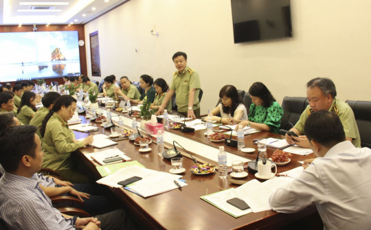 Giảm thêm 70 đội quản lý thị trường trong năm 2020