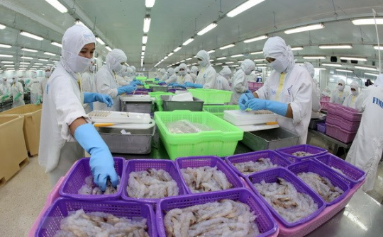 Xuất khẩu tôm trong tháng đầu tiên thực thi EVFTA tăng 7,2 lần so với tháng trước