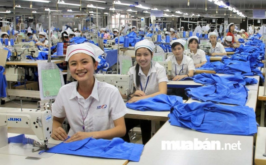 Xác định 5 trường hợp người lao động đang đóng bảo hiểm thất nghiệp