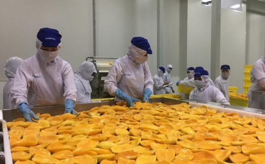 Xuất khẩu nông sản chế biến tăng vọt