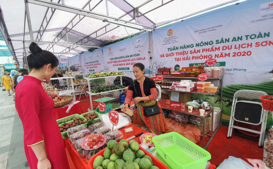 Saigon Co.op nỗ lực bao tiêu nông sản các tỉnh phía Bắc