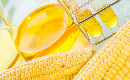 Gia hạn thời gian điều tra chống bán phá giá đường lỏng Trung Quốc, Hàn Quốc