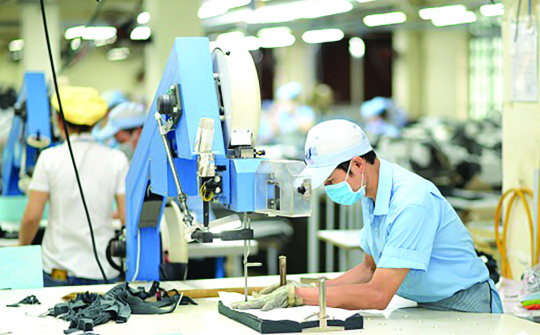 Phân nhóm hỗ trợ doanh nghiệp tiếp cận thị trường EVFTA