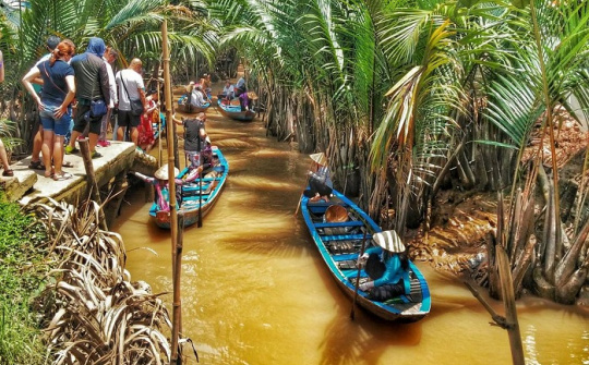 Khám phá "vương quốc" dừa Bến Tre