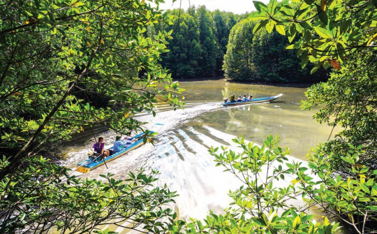 Mênh mang đất mũi Cà Mau