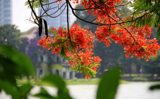 Thời tiết 16-7: Bắc bộ bước vào ngày nắng nóng đỉnh điểm