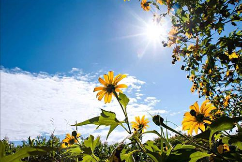 Thời tiết 19-7: Nắng nóng gay gắt bao trùm miền Bắc ngày cuối tuần