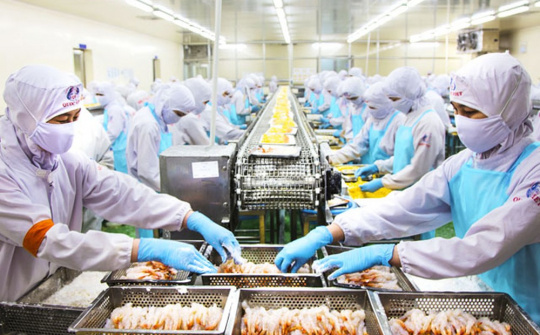 Bộ Công Thương đề xuất gia hạn đăng ký mã số REX