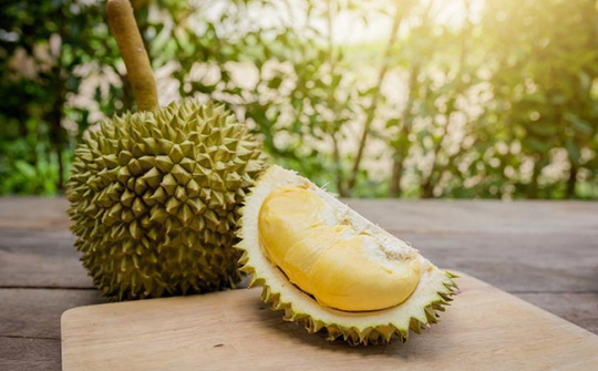 Mở rộng quảng bá sầu riêng Việt Nam tại Úc