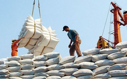 Mục tiêu xuất khẩu 6,7 triệu tấn gạo năm 2020 có thể sẽ cán đích