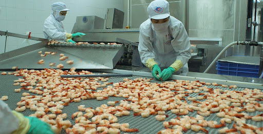 Bất chấp Covid-19, Xuất khẩu tôm vẫn tăng trưởng tích cực tại nhiều thị trường chủ chốt