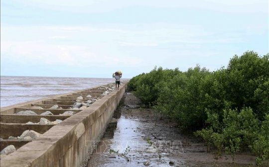 Bên ngoài đang nước to gió lớn, bằng mọi giá phải bao chặt "tuyến đê" 4.000 km