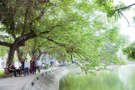 Thời tiết 1-8: Bắc bộ trời mát, cảnh báo mưa dông diện rộng