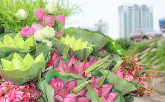 Thời tiết 6-7: Bắc bộ bước vào đợt nắng nóng mới