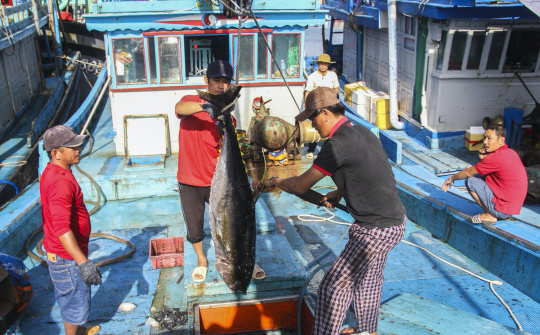 3 điểm cộng trong quy tắc xuất xứ của RCEP