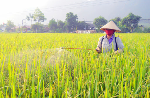 Quốc hội sẽ quyết việc sửa thuế giá trị gia tăng phân bón vào tháng 3/2021