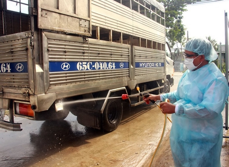 Phó Thủ tướng yêu cầu cảnh báo kịp thời Dịch tả lợn Châu Phi