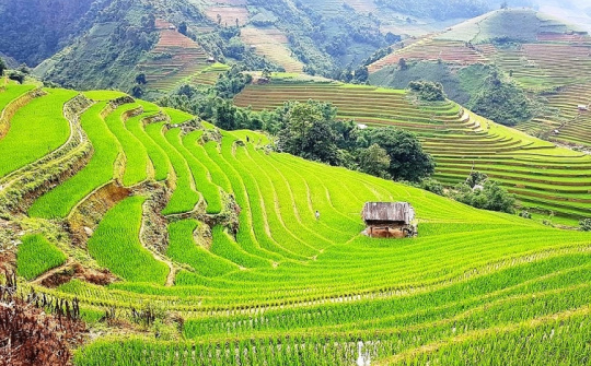 Những nhân tố ảnh hưởng đến phát triển du lịch bền vững