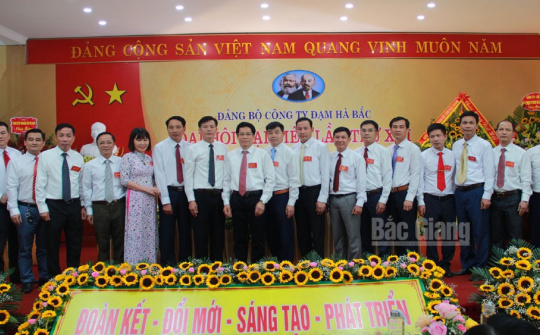 Đạm Hà Bắc đặt mục tiêu  tăng trưởng bình quân 7,61%/năm giai đoạn 2020-2025