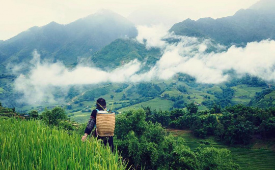 Nghỉ lễ Quốc khánh 2/9 cùng nhau khám phá vẻ đẹp miền Tây Bắc