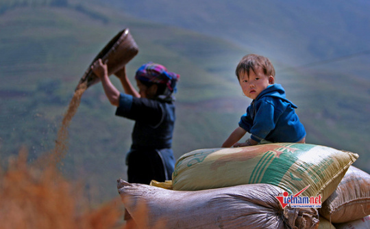 Forecasting labor demand for industrial development in ethnic minority and mountainous regions