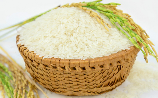 Gạo Việt Nam xuất khẩu đang có mức giá cao nhất thế giới