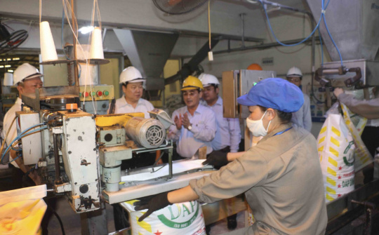 Bảo đảm 5 tiêu chí, DAP-1 Hải Phòng được đề xuất đưa ra khỏi diện theo dõi, xử lý