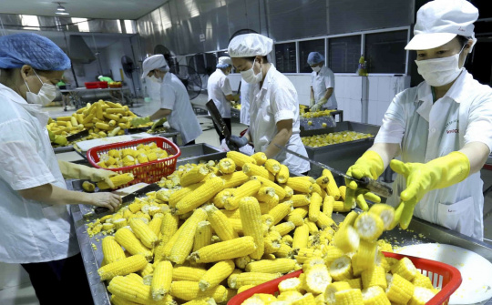 Xuất khẩu hồi phục, xuất siêu vượt mốc 10 tỷ USD