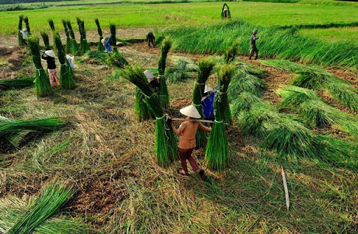 Nga Sơn - Thanh Hóa: Hành trình 10 năm cho một huyện Nông thôn mới