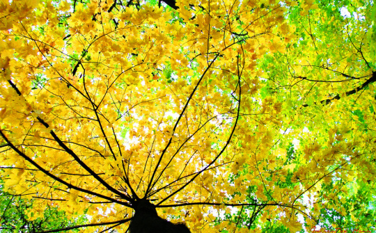 Hà Nội vào thu rồi đấy nhỉ!