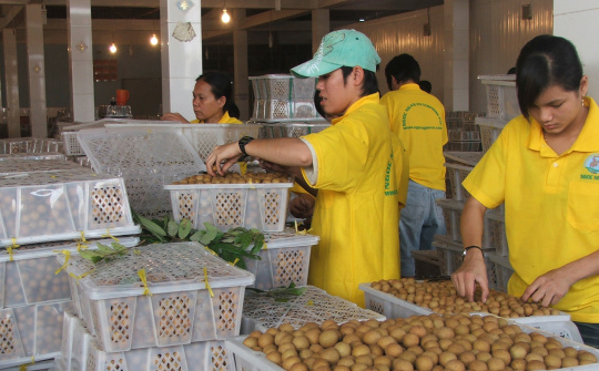 Tự tin đưa nhãn Hải Dương đến thị trường châu Âu, Australia, Singapore