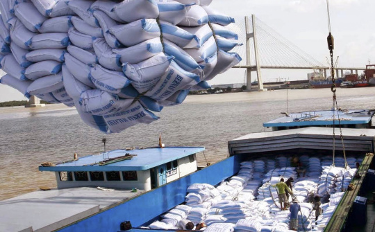 Doanh nghiệp Việt xuất khẩu gạo sang EU có phải đăng ký hạn ngạch?