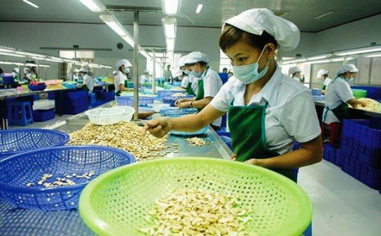 Xuất khẩu hạt điều trong quý III/2020 có khả năng sẽ giảm mạnh