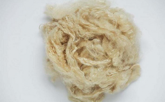 Rong biển, kẽm để chế tạo sợi thông minh thân thiện với làn da