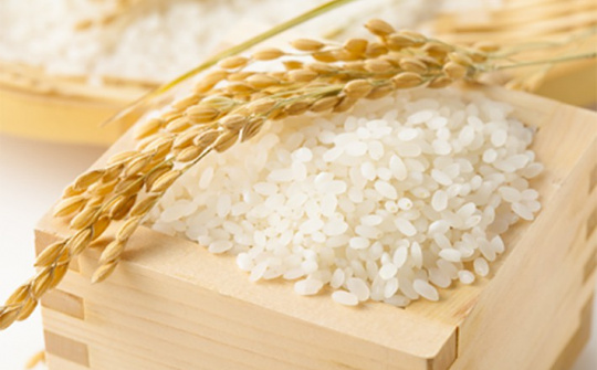 Giá gạo trong nước tăng mạnh, Bra-xin khẩn cấp đưa thuế nhập khẩu gạo về 0%