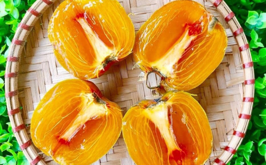 Phát sốt với hồng da tre Thái Nguyên