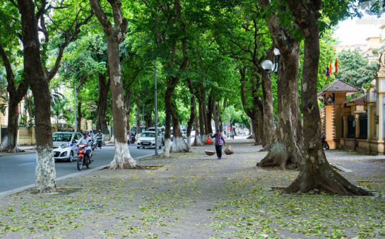 Thời tiết 13-9: Bắc bộ tiết trời dịu mát ngày cuối tuần, có lúc có mưa rào rải rác
