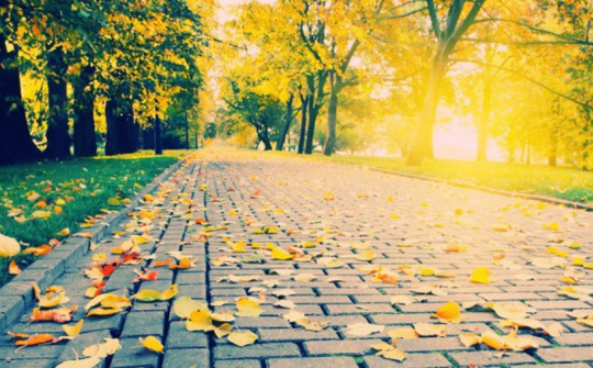 Thời tiết 15-9: Bắc Bộ ngày nắng, đề phòng chiều tối có mưa rào và dông