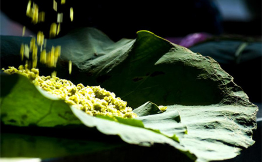 "Mùa cốm xanh về, thơm bàn tay nhỏ"…