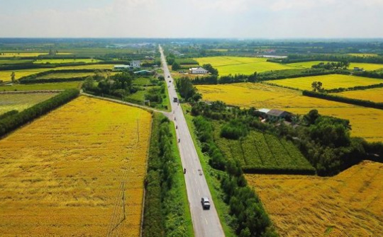 Giới hạn diện tích được nhận chuyển quyền đất nông nghiệp của cá nhân, hộ gia đình - Từ quy định pháp luật đến thực tiễn thực thi