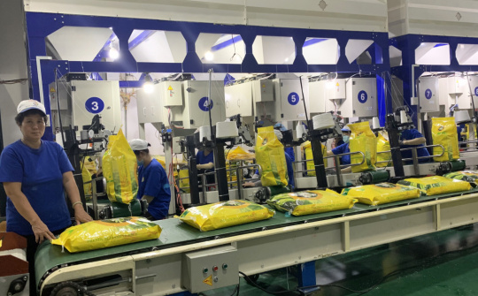 Lô gạo thơm đầu tiên chính thức được xuất sang EU theo EVFTA