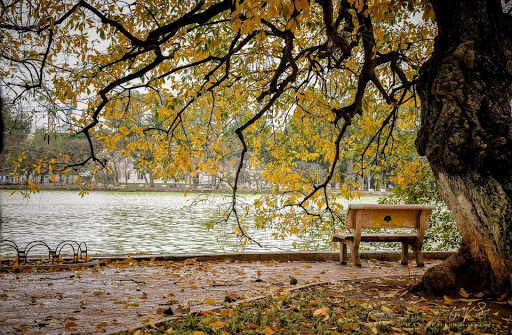 Thời tiết 23-9: Đón không khí lạnh đầu mùa, Bắc bộ trời chuyển mát, đề phòng mưa dông