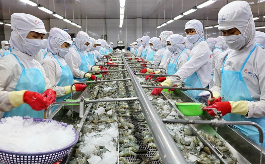 Khai thác EVFTA - Doanh nghiệp chuyển biến lớn từ nhận thức tới hành động