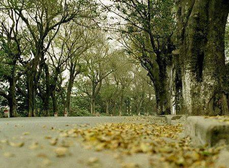 Thời tiết 24-9: Miền Bắc đón gió mùa đông bắc nhẹ, cảnh báo mưa dông, lốc sét